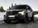 b2bfab-skoda-kodiaqseat-tarraco-camber-correcting-lift-kit-b2bfab-skoda-kodiaqseat-tarraco-cam...jpg