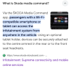 skoda media command app pdf - Google Zoeken.jpeg.png