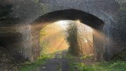 IMG_0699.jpeg