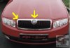 fabia_front_grille.jpg