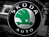 wallpaper_parrot_skoda.jpg