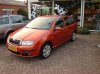 fabia orange1 klein.JPG