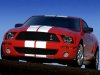 2007_ford_mustang_shelby_gt500_01_c498_im.jpg