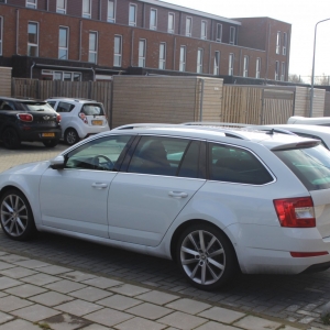 Skoda Octavia Moon White