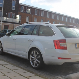 Skoda Octavia Moon White