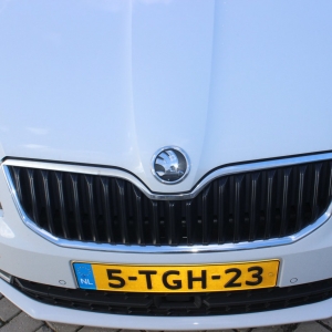 Skoda Octavia Moon White