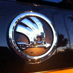 Skoda logo in sunset