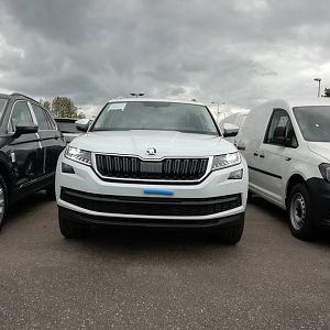 JpTurte Kodiaq