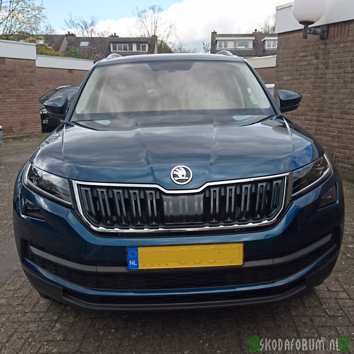 Frenk21 Kodiaq