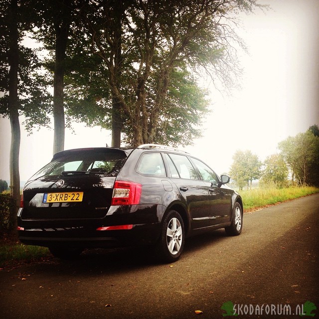 Greenline in groene omgeving