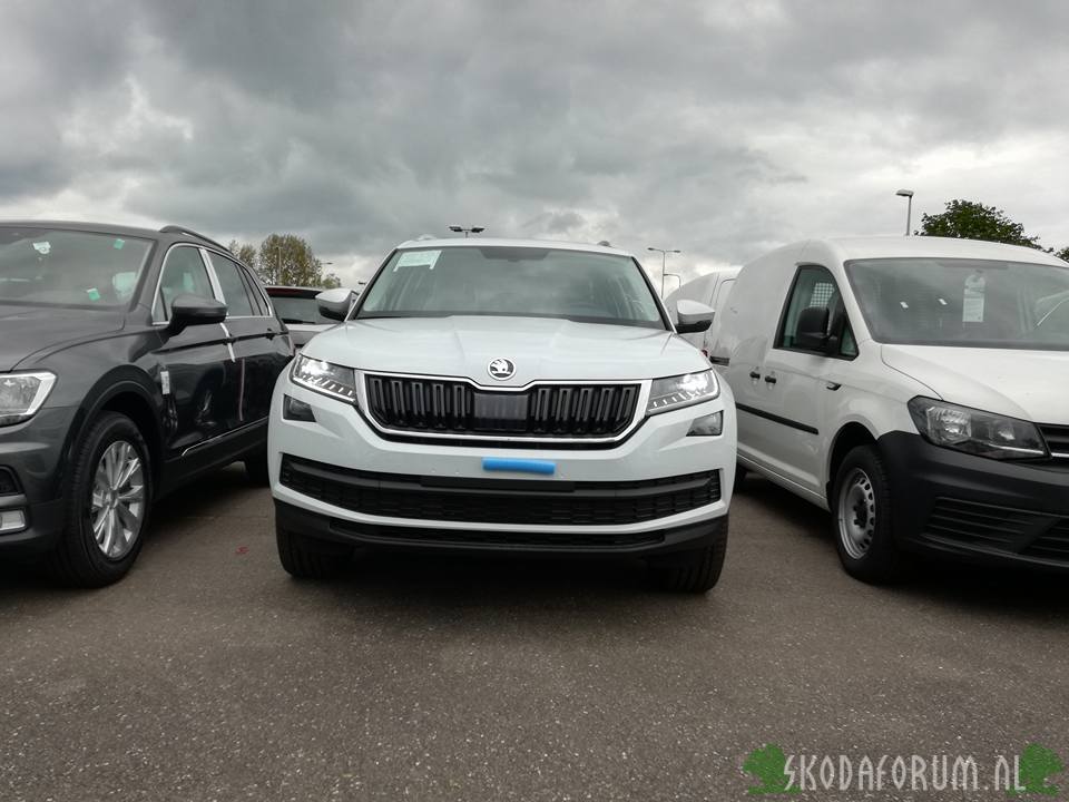 JpTurte Kodiaq