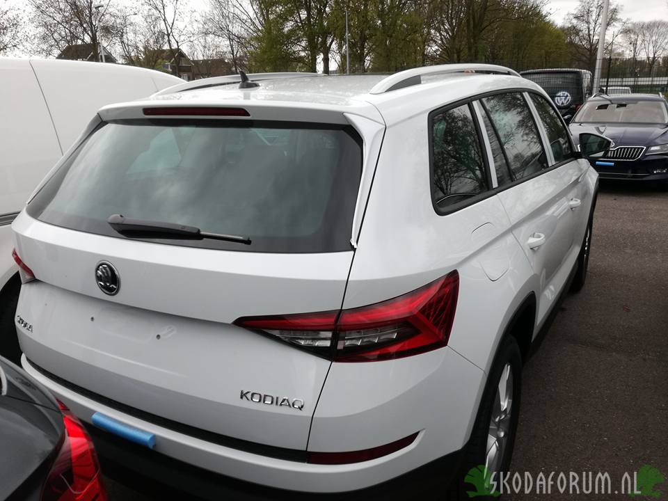 JpTurte Kodiaq