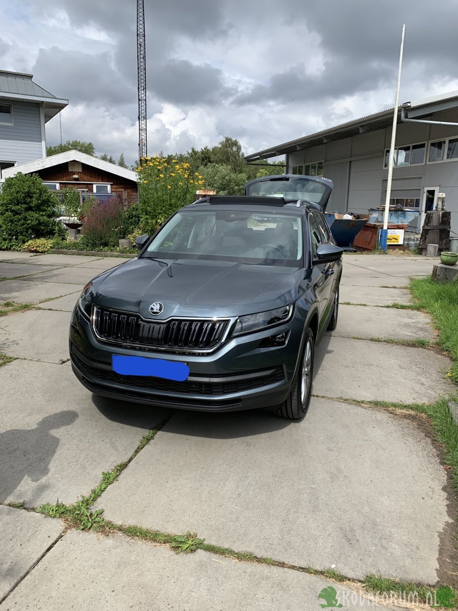 Kodiaq 2019