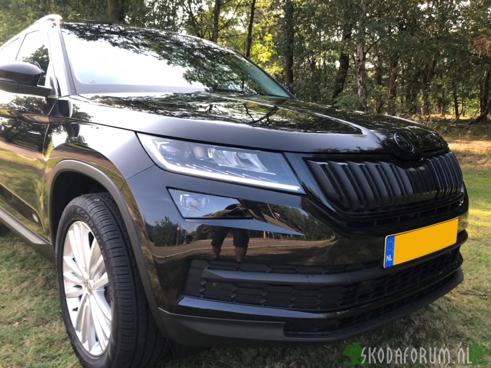 Kodiaq zijkant rechts zoom