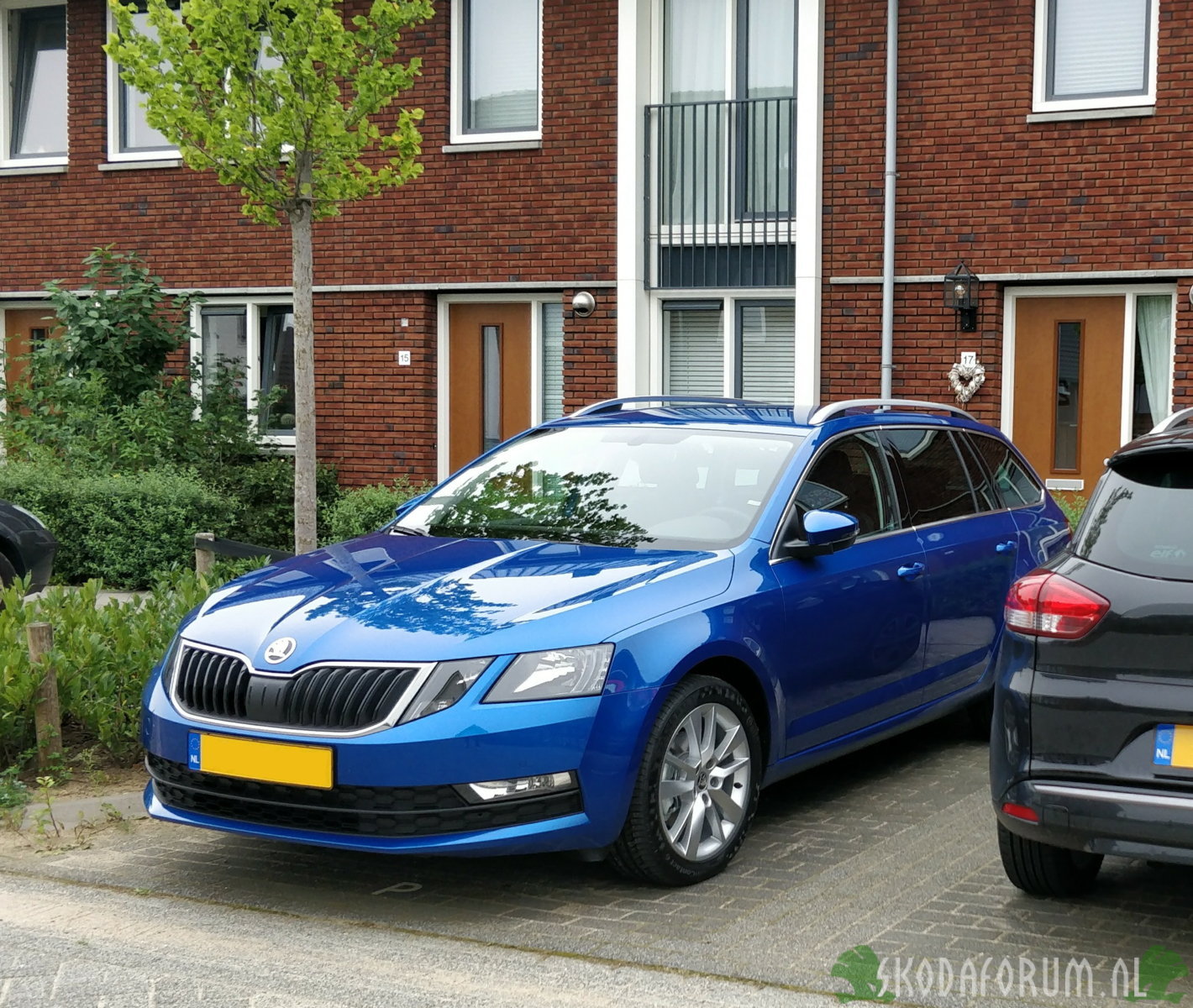 Octavia Combi 1.0 TSI Ambition Business DSG (2018) kleur Race Blue