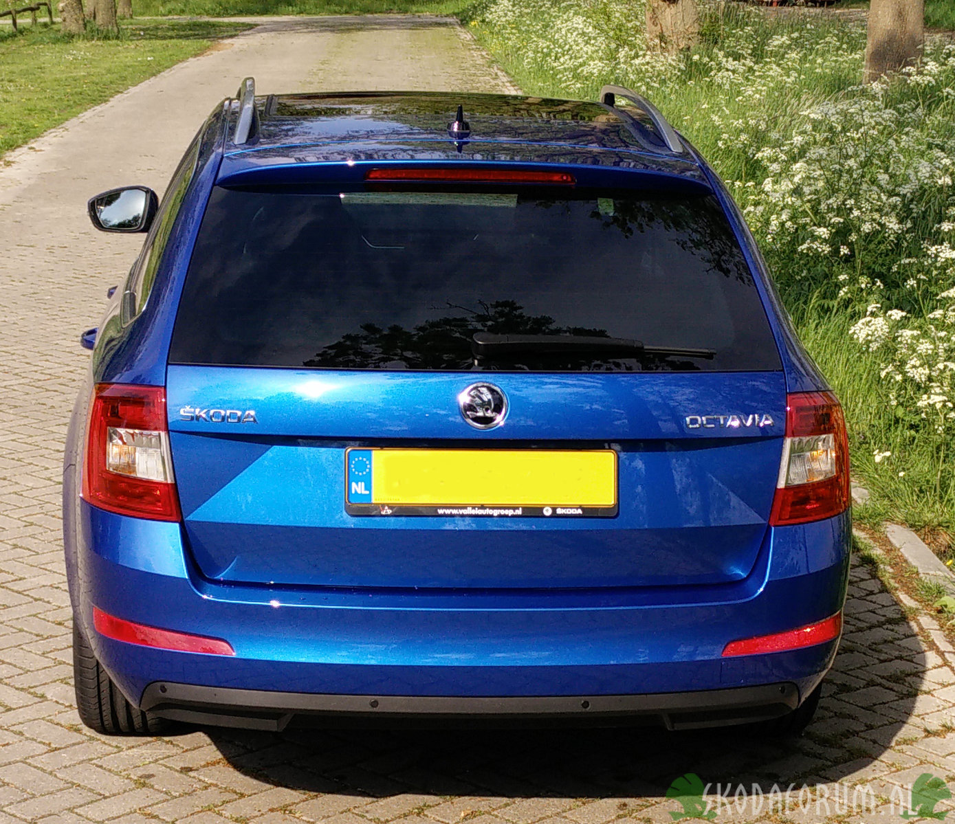 Octavia Combi EBL 1.6 TDI  DSG Race Blue