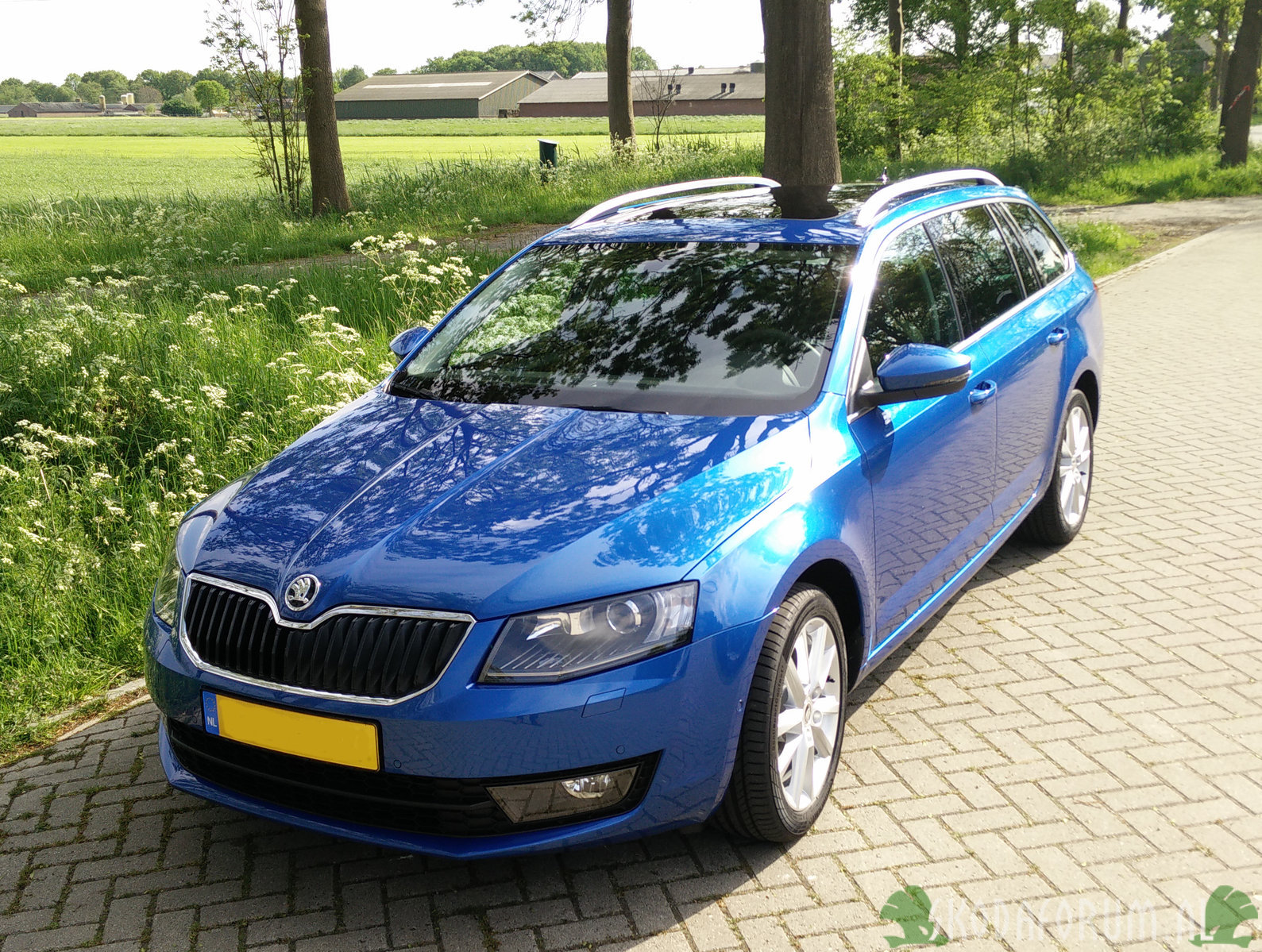 Octavia Combi EBL 1.6 TDI  DSG Race Blue