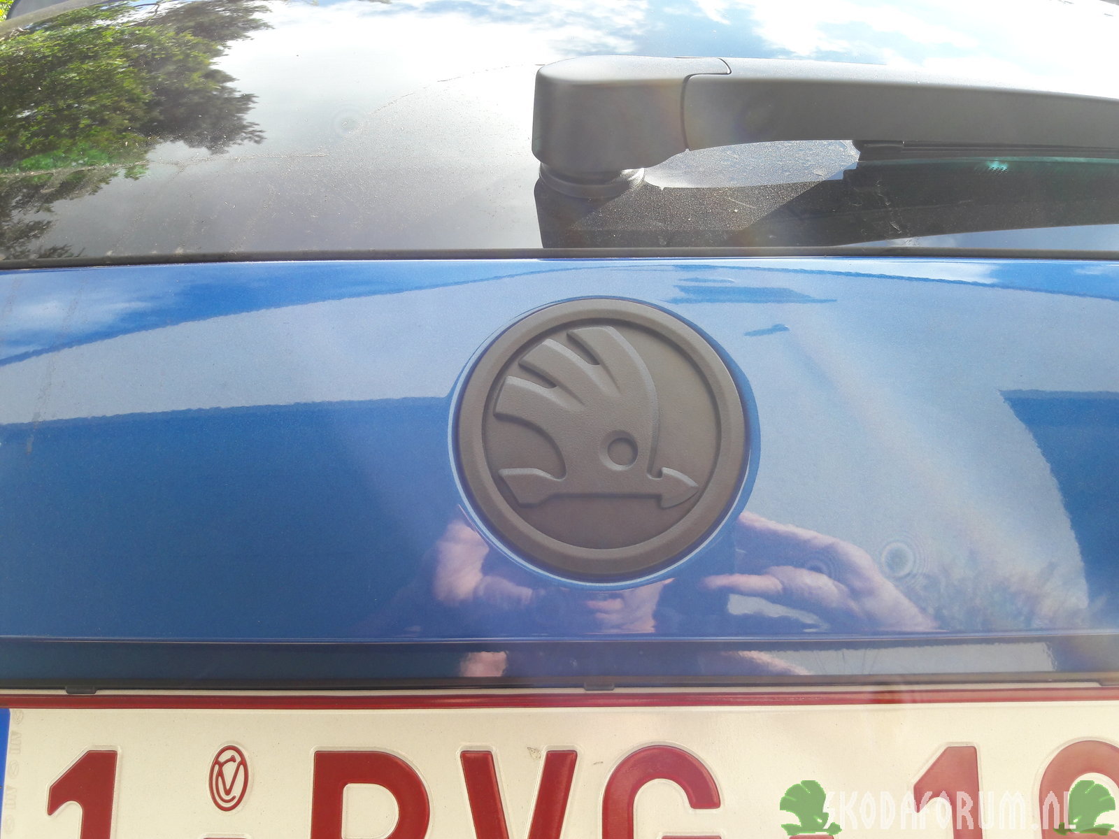 plastidip logo achter