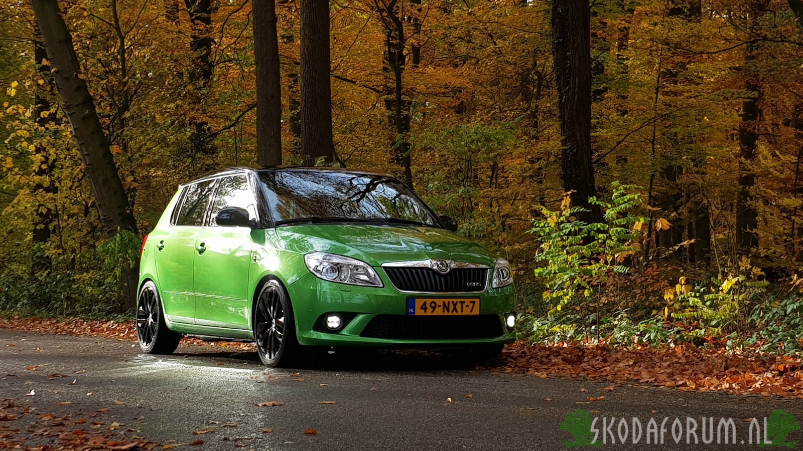 RS in herfst