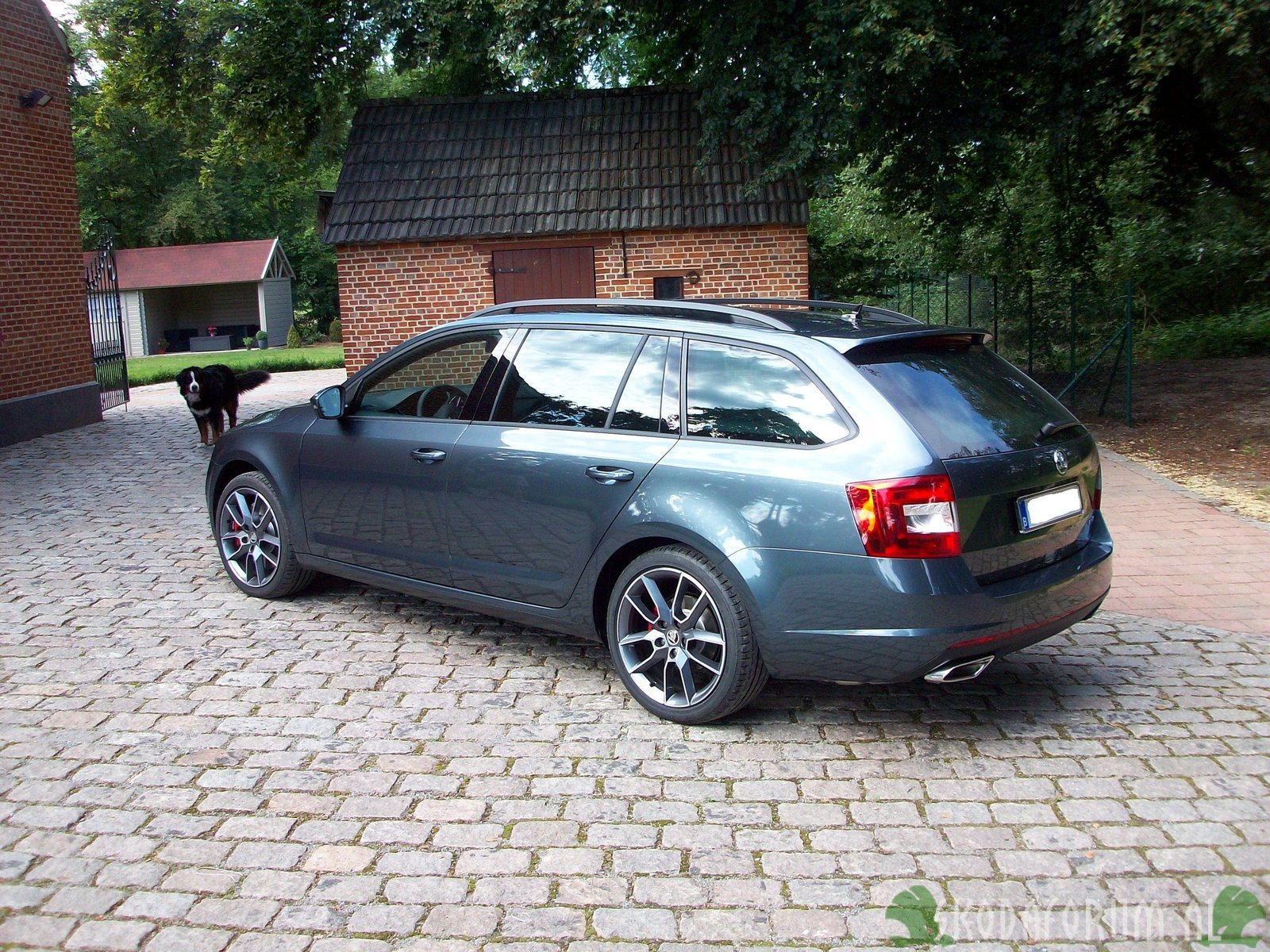 Rs tsi metal grey