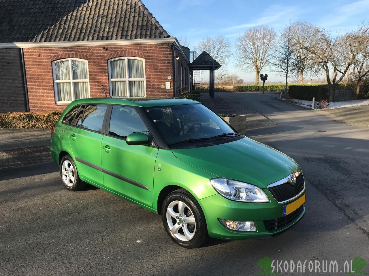 Skoda Fabia Combi Greenline '11