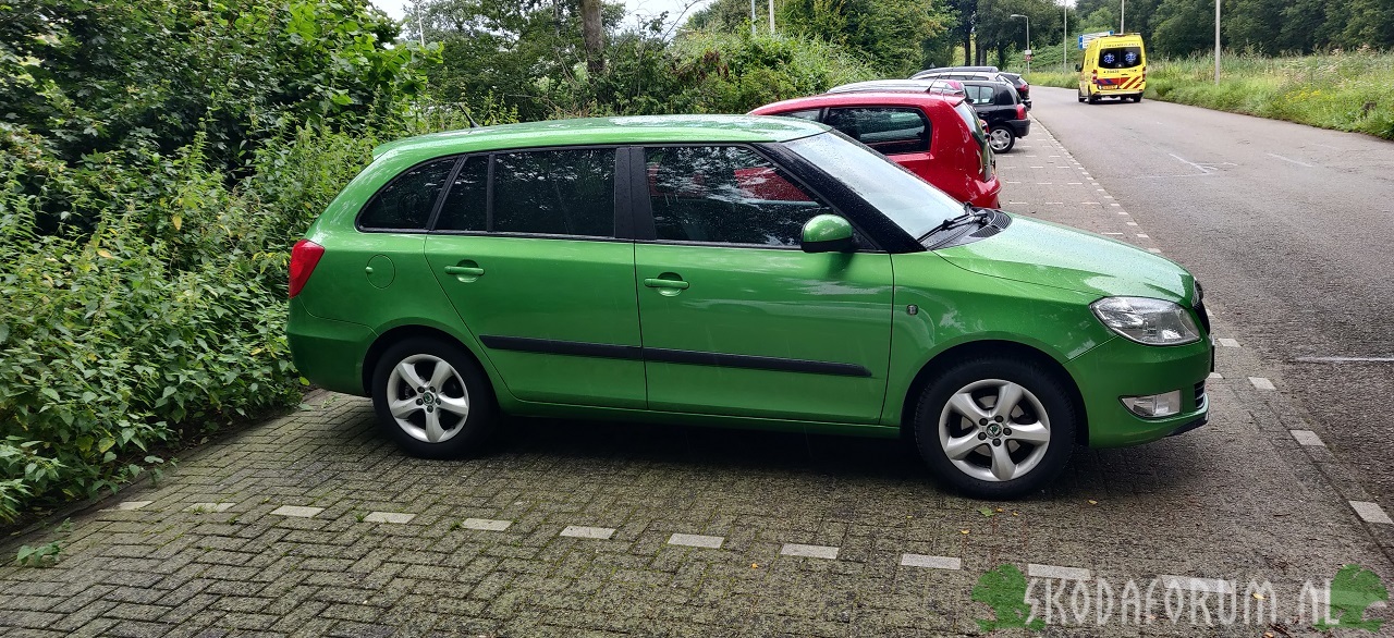 Skoda Fabia Combi Greenline '11