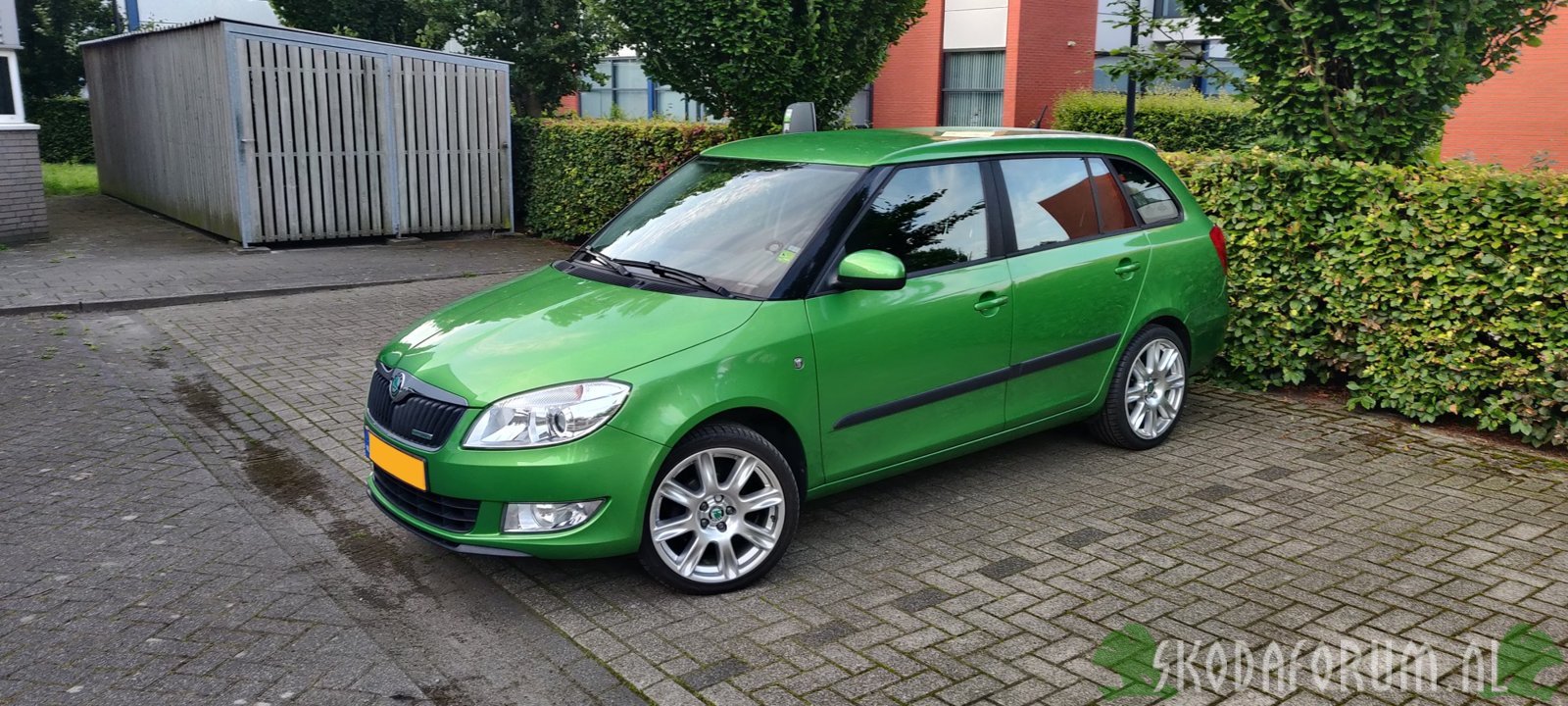 Skoda Fabia Combi Greenline '11