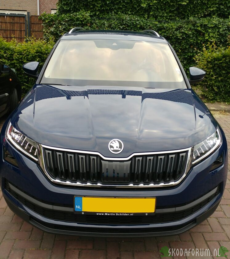 Skoda Kodiaq 1.4 TSI 150PK Style bussiness Pacific Blue