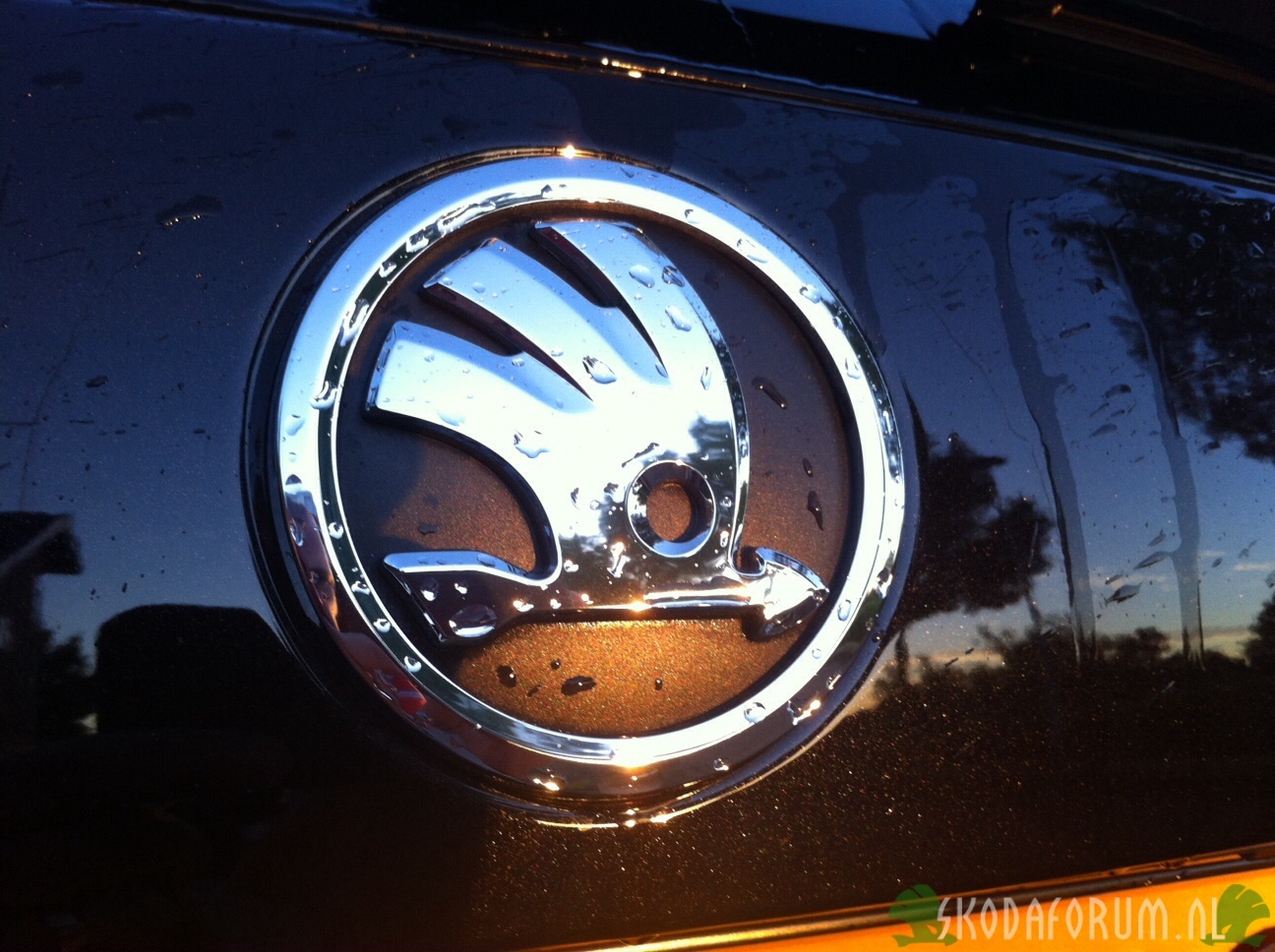 Skoda logo in sunset