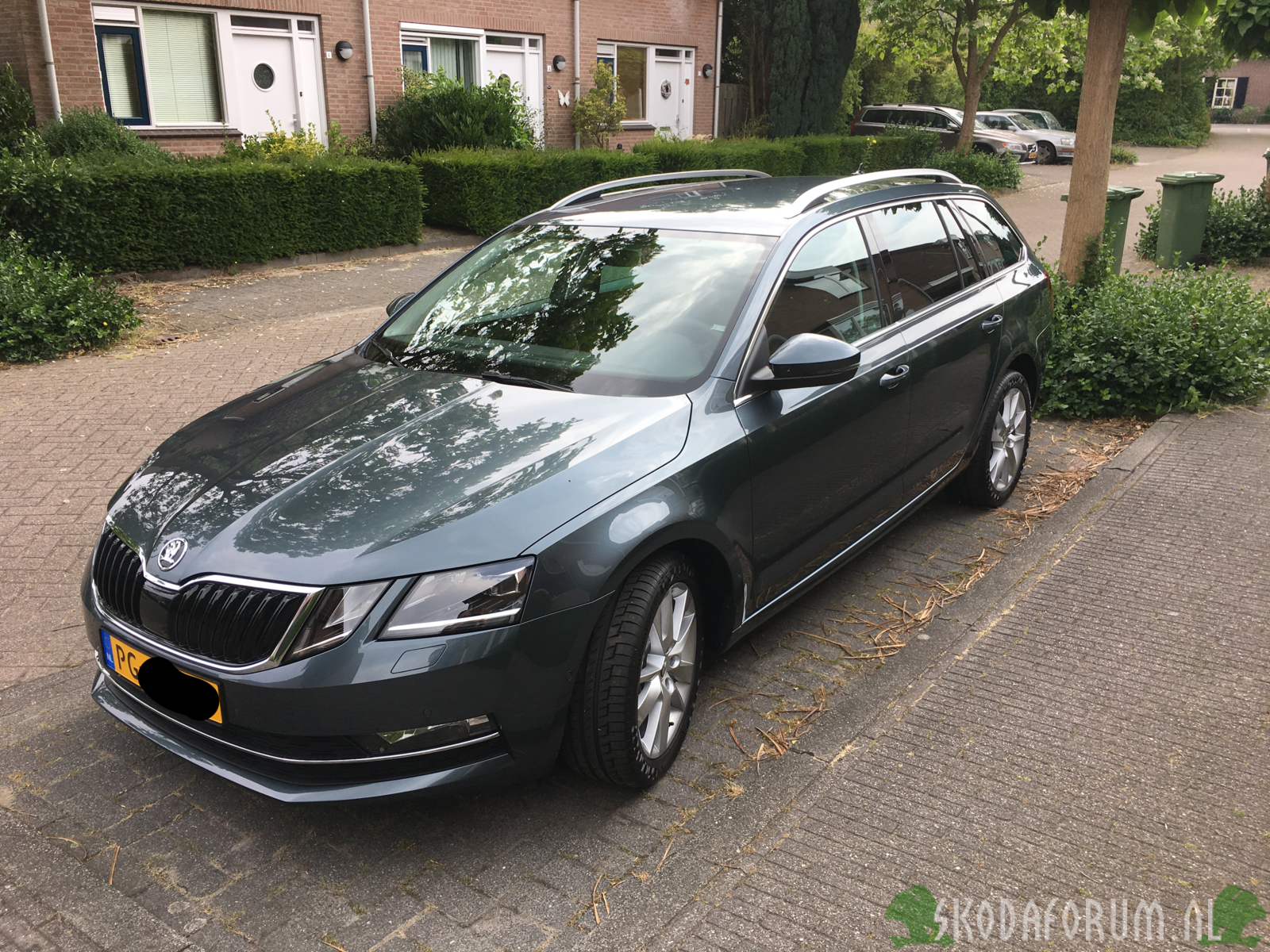 Skoda Octavia 3 FL Style Business * 1.0 TSI DSG-7 * Quartz Grey Metallic * Sunset