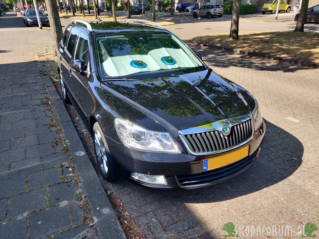 Skoda Octavia Combi Elegance Businessline '10