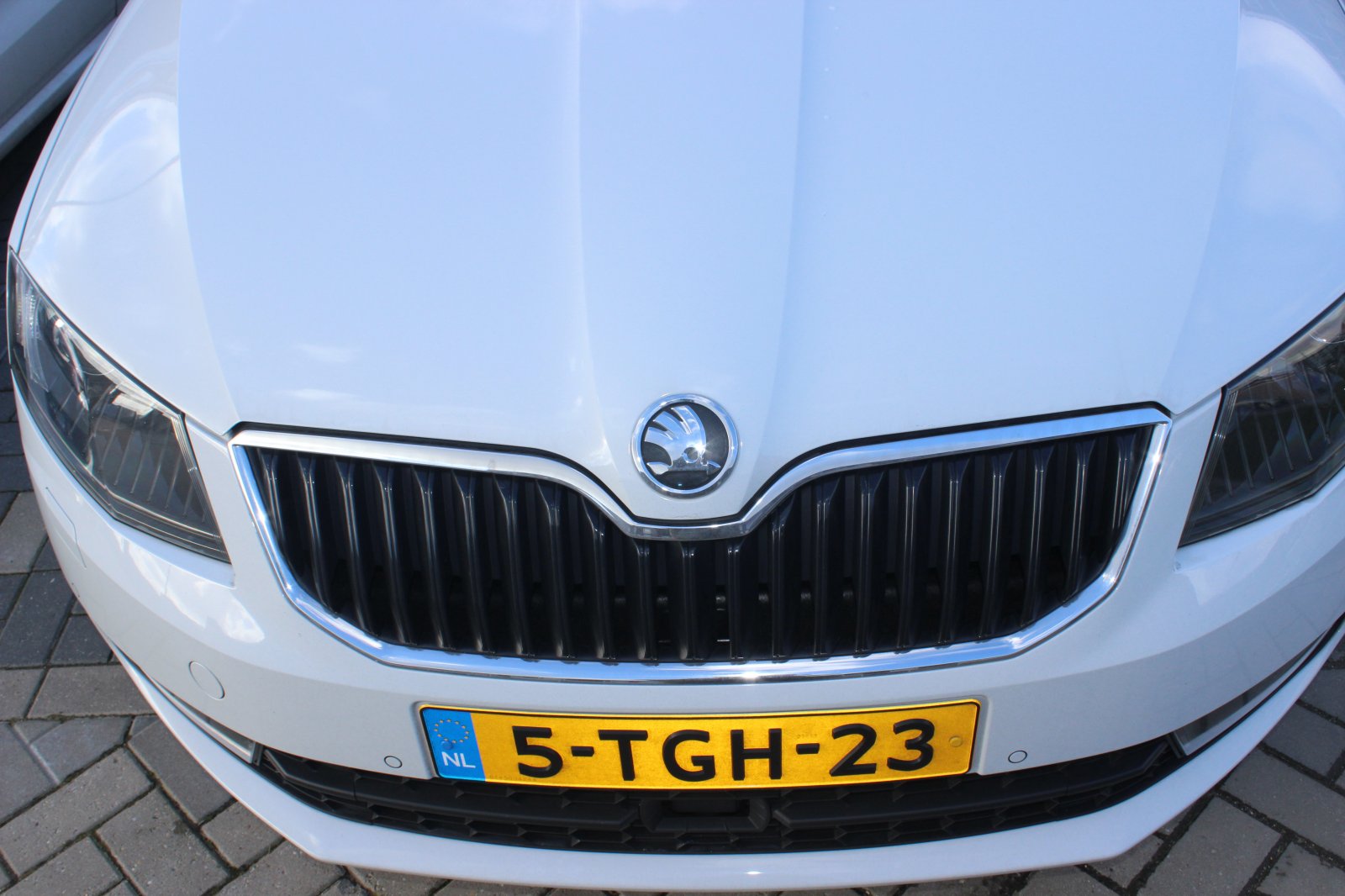 Skoda Octavia Moon White