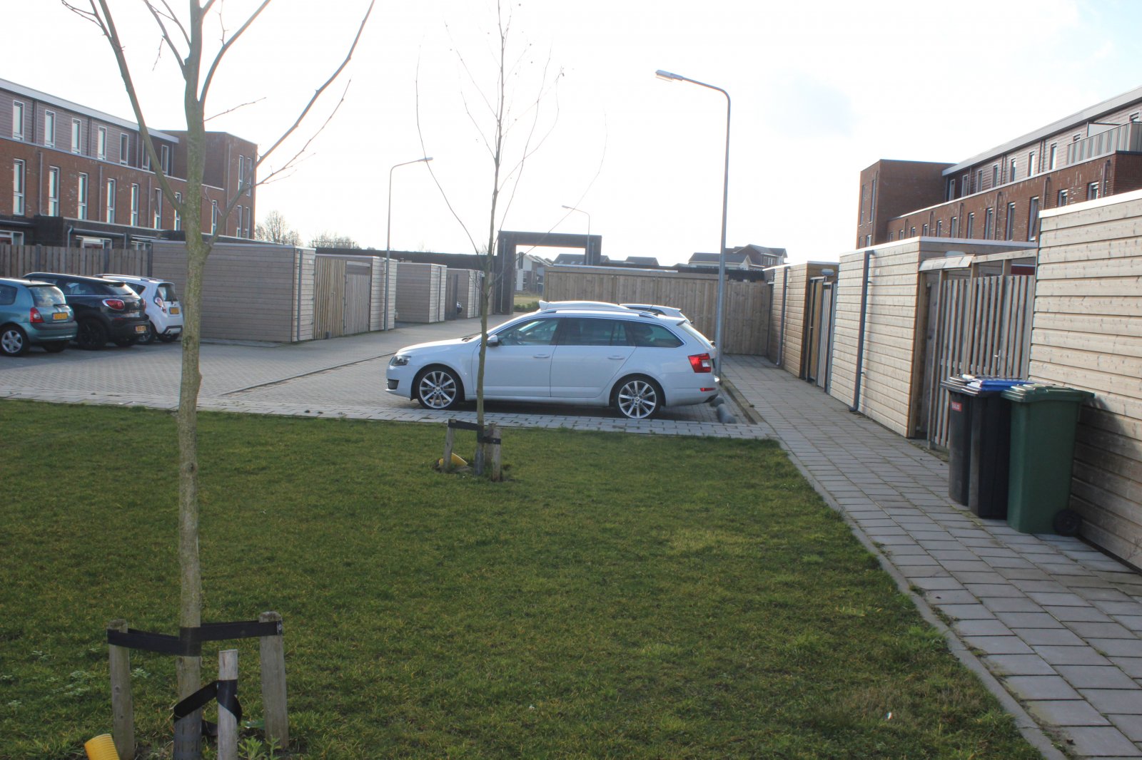 Skoda Octavia Moon White