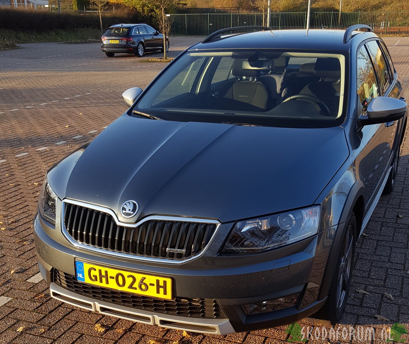 Skoda Octavia Scout 4X4 DSG 2.0 TDi