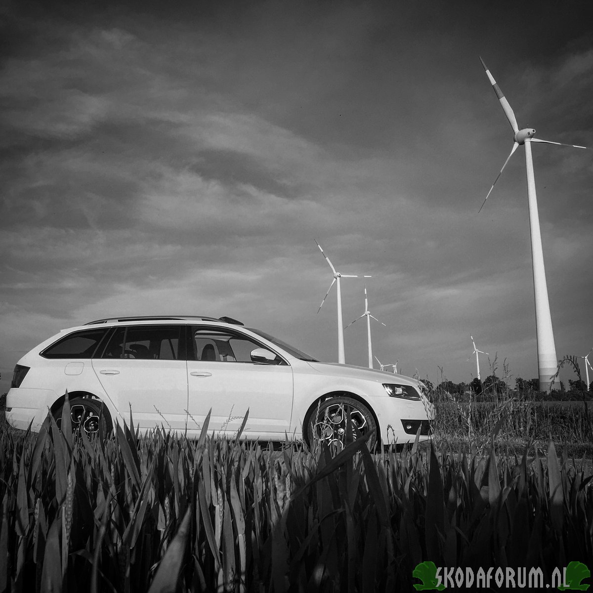 Skoda Octavia - Windmolens ;)