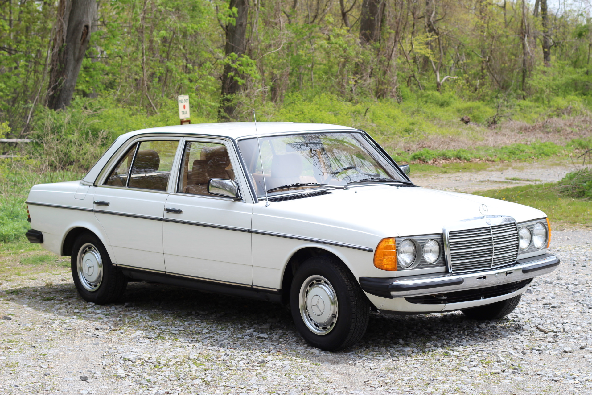 1983_mercedes-benz_200d_15911979247a62103cfIMG_8510.jpg